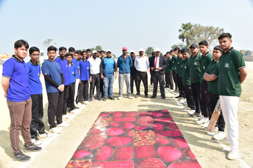 Cricket Coaching
