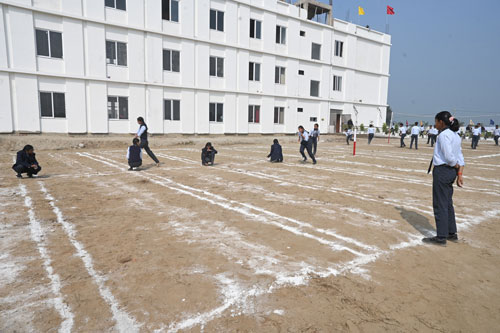 Cricket Training